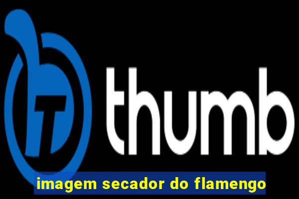 imagem secador do flamengo